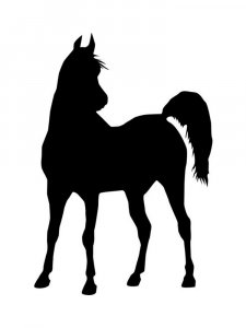 Трафарет Лошади 8