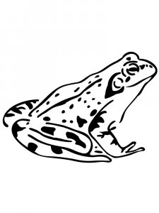 Трафарет Лягушки 7