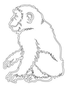 Трафарет Обезьяны 1