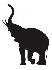 Трафарет Слона 18