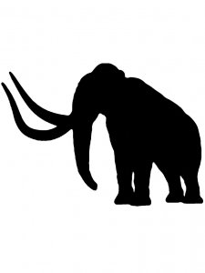 Трафарет Слона 20