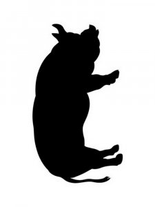 Трафарет Свиньи 5