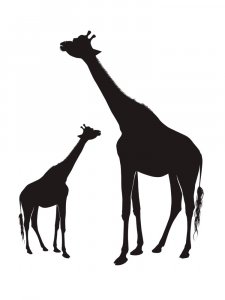 Трафарет Жирафа 6