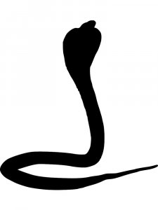 Трафарет Змеи 6